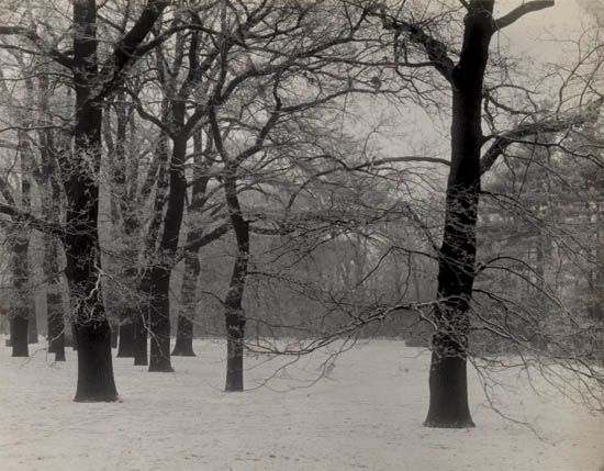 SUDEK, JOSEF (1896-1976) "Prague, Royal Gardens in Winter."